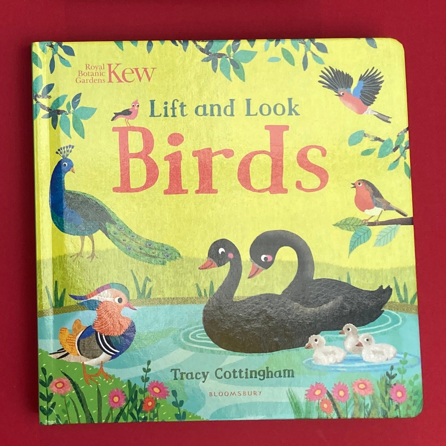 Lift and Look: Birds by Tracy Cottingham